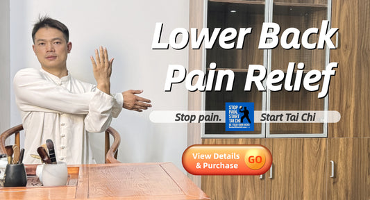 20-Minute Seated & Standing Tai Chi — Stand tall again. Quick, natural relief for stiffness, tightness, dull ache, sharp twinges & back spasms. Simple, gentle moves. Science-based & safe